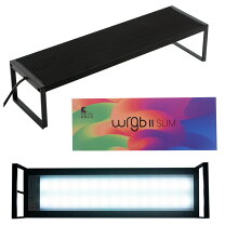 楽天市場】chihiros wrgb2 45の通販