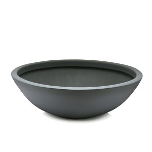 @@[J[@@i_Jjz@RIN@^@_[NO[@s