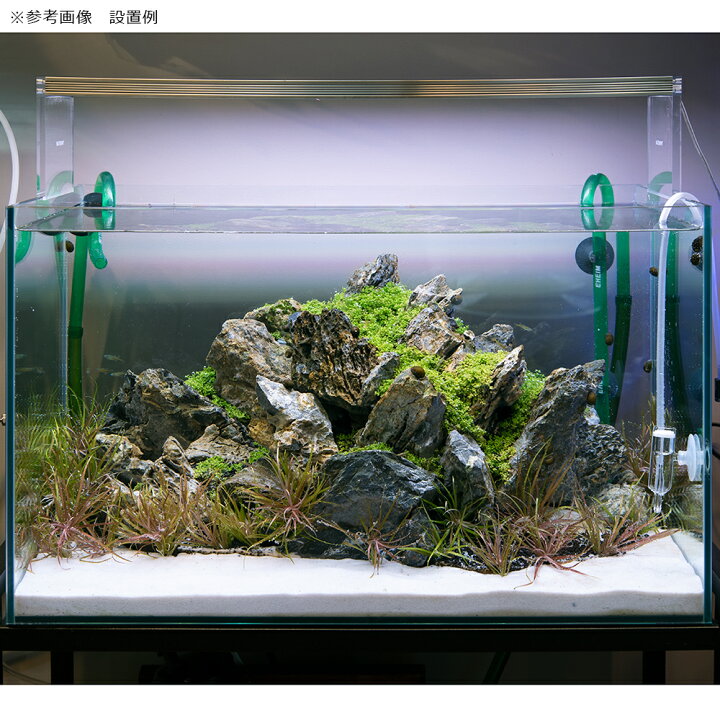 楽天市場 青の絶壁 水槽セット 生体無し 器具のみ お一人様1点限り 沖縄別途送料 関東当日便 Charm 楽天市場店 楽天市場 青の絶壁 水槽セット 生体無し 器具のみ お一人様1点限り 沖縄別途送料 関東当日便 Charm 楽天市場店