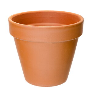 A@f[}@X^_[h|bg@15cm@m@T{e@񂹐A@eRb^@֓