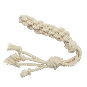 ݂݂ЂςRbg[v@M@^@^p@@nhCh@֓