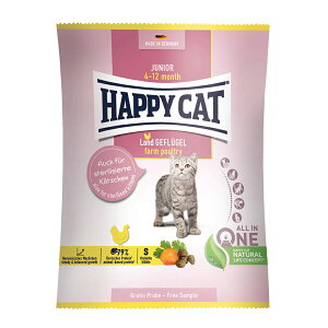 Lbgt[h@HAPPY@CAT@WjA@t@[|g[@50g@`L@Ki@֓