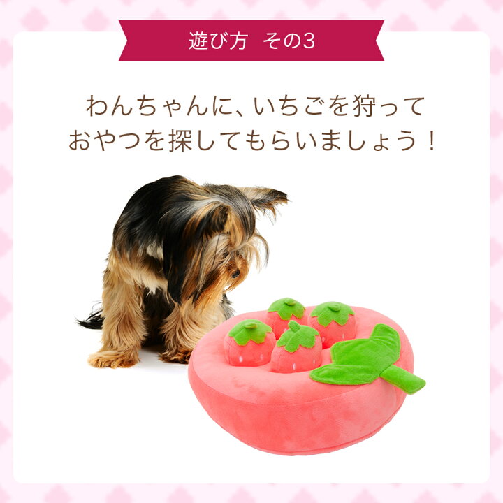 楽天市場 ｆｕｕ ノーズワーク 犬 おもちゃ 摘みたてイチゴ 知育おもちゃ 関東当日便 Charm 楽天市場店