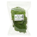 葛（クズ）の葉っぱ　5g　昆虫　レイアウト用品　（形状お任せ）　関東当日便