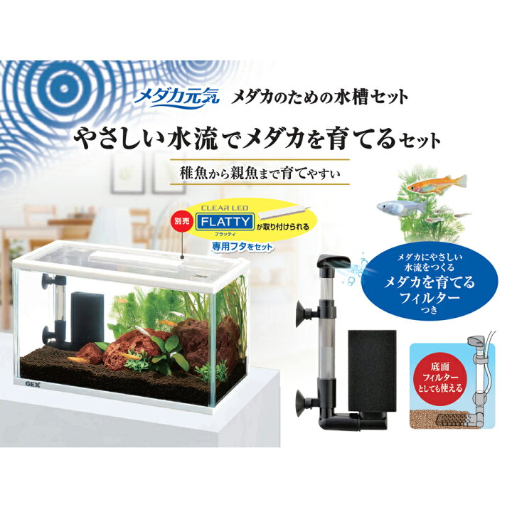 楽天市場】（めだか）（水草）GEX メダカ元気 メダカのための水槽 