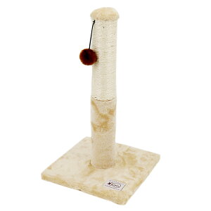 AEgbgi@Lp@܂Ƃ@ybgv@Lbg^[@|[@󂠂@֓