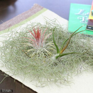 iϗtAjGA[vc@rMi[3ZbgiCIi^@u{[T@EXlICfXj