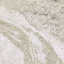 （海水魚）ばくとサンド（立上げ簡単サンド）パウダー　9リットル　バクテリア付き　ライブサンド　航空便不可　沖縄…