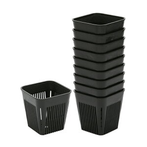 y12^5zIm21I1ő100@Xbg@}WJ|bg@90@2D5@300cc@@10@T{e