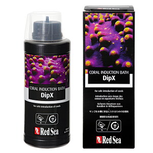 bhV[@Dip@X@500ml@TS@CubN@fBbv܁@񐶐@܁@֓