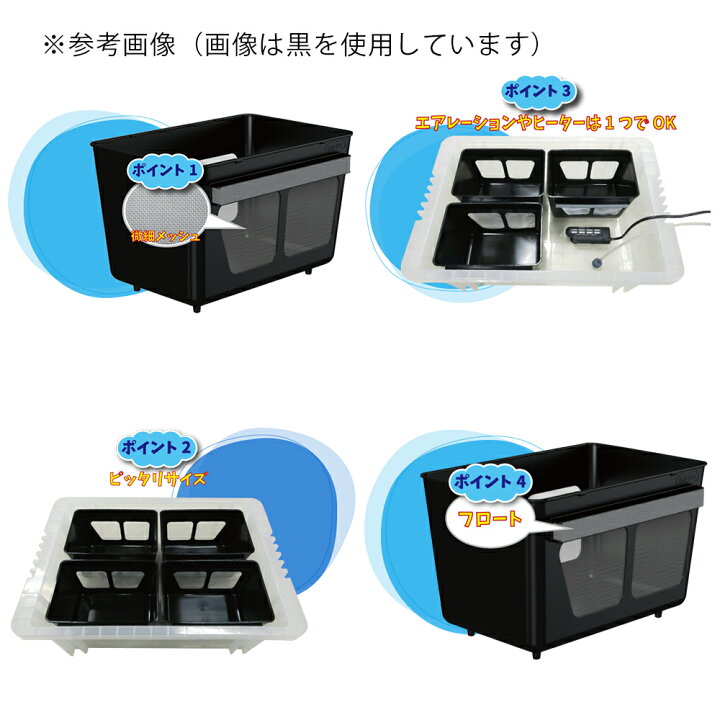 楽天市場】ミプラス 水槽分割容器 わけぷか 白色 関東当日便 : charm 
