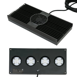 AI@Hydra64HDinCh64HDj@ubN@TS@@Cg@Ɩ@֓