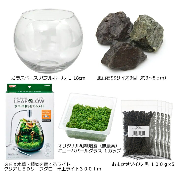 楽天市場 水草 本格派ボトルアクアの基礎 キューバパールグラスの草原 本州四国限定 関東当日便 Charm 楽天市場店