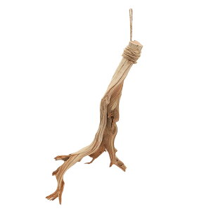 `󂨔C@nMOp@S[XgEbh@MTCYi40cm`50cmj@݂艺Rt@1{@֓