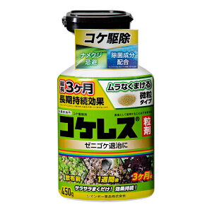 C{[@RPX@܁@450g@ہ@RP@쏜@@֓