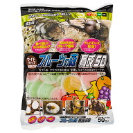 フジコン　昆虫ゼリー　ワイドカップ　フルーツの森　育成50　16g×50個入り　関東当日便