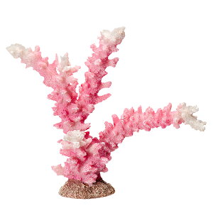 [XC@ZEST@vJTS@M|9@sNzCg@֓