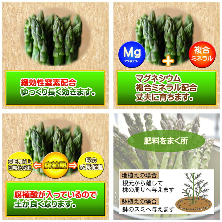 楽天市場 アスパラガスの肥料 350g 関東当日便 Charm 楽天市場店 楽天市場 アスパラガスの肥料 350g 関東当日便 Charm 楽天市場店