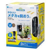 楽天市場】飼育セット（水槽・アクアリウム｜熱帯魚・アクアリウム 