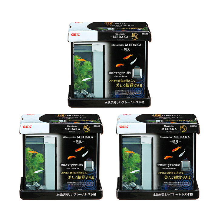 楽天市場】GEX グラステリア メダカ 横見 ×3個 水槽 小型水槽  
