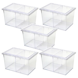 NA[XC_[@[W@vP[X×5@ll3_@֓