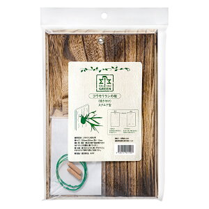 JUN@JDGREEN@RE̔@XNGA^@֓