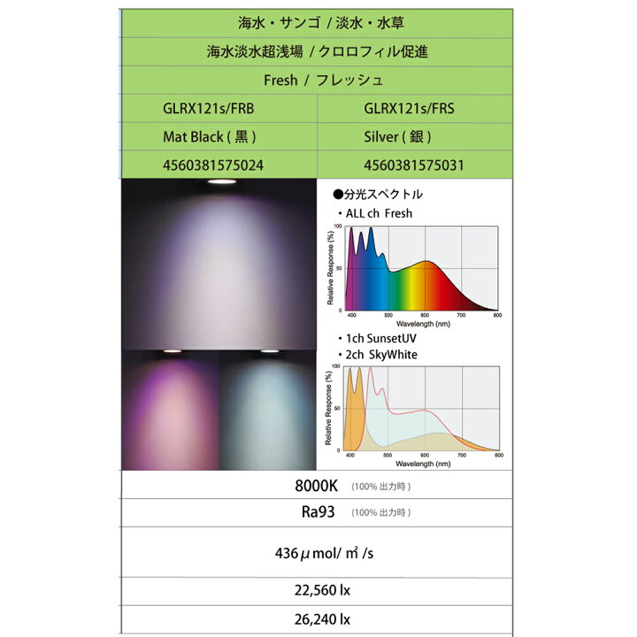 楽天市場】ボルクスジャパン Grassy LeDio RX121s 