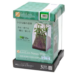 �R�g�u�L�H�|�@���O���X�@�l�C�`���[2030�@�����i�P�́j�@����l�l5�_����@�֓�������