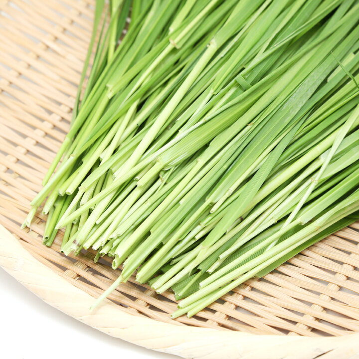 150円 【SALE/99%OFF】 ユタカメイク パラメイトキーホルダー 4mm×0.5m OD 栓抜き リング付 150円 【SALE/99%OFF】 ユタカメイク パラメイトキーホルダー 4mm×0.5m OD 栓抜き リング付