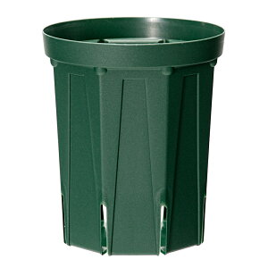 スリット鉢 カネヤ産業 ロングタイプ CSM−120L モスグリーン お一人様20点限り バラ鉢 果樹鉢 関東当日便