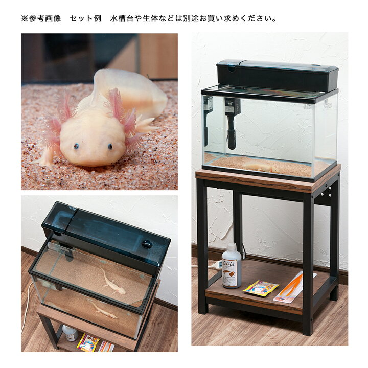 楽天市場 ウーパールーパーの基本飼育セット 沖縄別途送料 関東当日便 Charm 楽天市場店 楽天市場 ウーパールーパーの基本飼育セット 沖縄別途送料 関東当日便 Charm 楽天市場店
