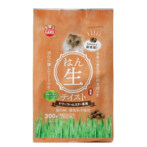 }J@nX^[t[h@eCXg@h[tnX^[p@300g@a@GT@@֓