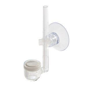 CO2gU@NAANfBt[U[S@֓