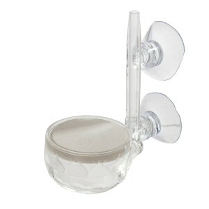 CO2gU@NAANfBt[U[M@֓