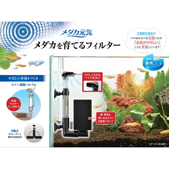楽天市場 gex メダカ元気 メダカを育てるフィルターセット スポンジフィルター エアーポンプ付き 幅 40cm 深さ15 cm水槽 関東当日便 Charm 楽天市場店 楽天市場 gex メダカ元気 メダカを育てるフィルターセット スポンジフィルター エアーポンプ付き 幅 40cm 深さ15 cm水槽 関東当日便 Charm 楽天市場店