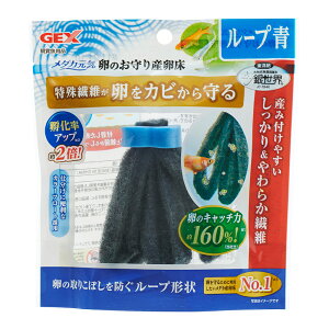 AEgbgi@GEX@_JC@̂Y@[v@@1@󂠂@֓