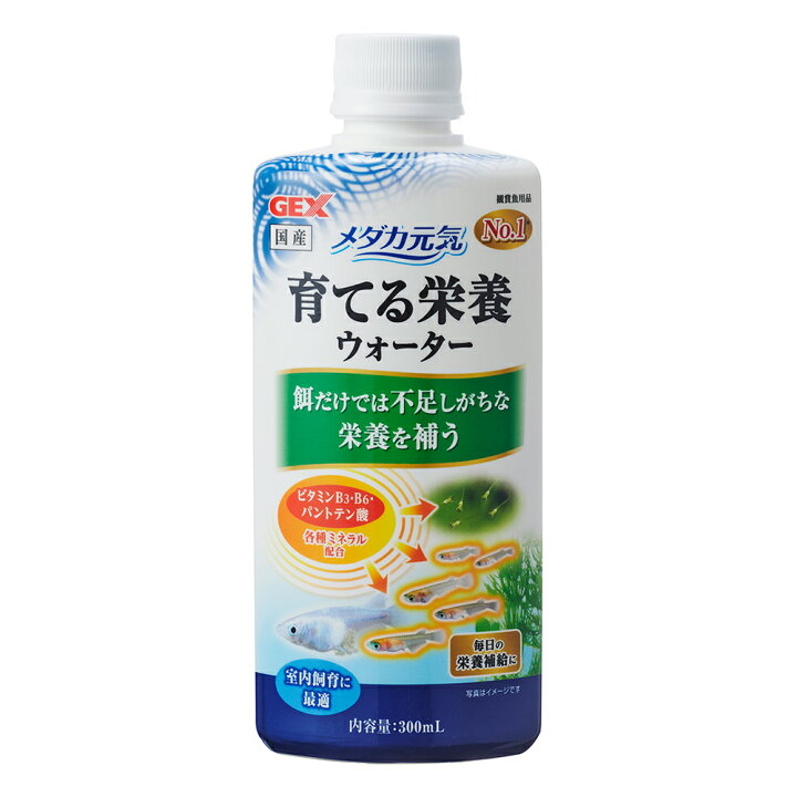 楽天市場 ｇｅｘ メダカ元気 育てる栄養ウォーター ３００ｍｌ 稚魚育成 ビタミン ミネラルサポート 室内飼育 関東当日便 Charm 楽天市場店