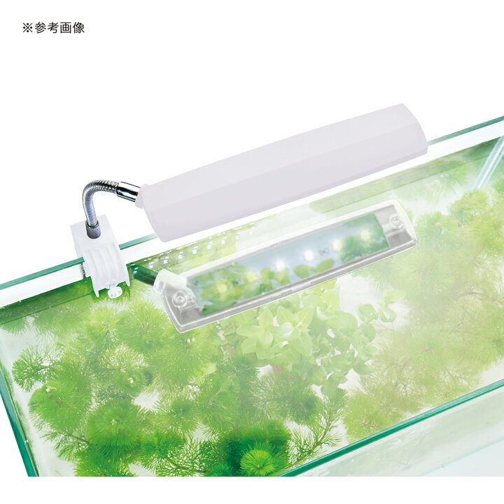 楽天市場 ｇｅｘ クリアｌｅｄ エコリオアーム パワー ホワイト ４０ｃｍ水槽 関東当日便 Charm 楽天市場店