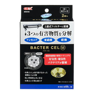 GEX@oN^[Z@M@2ܓ@DCECoNeA@ށ@֓