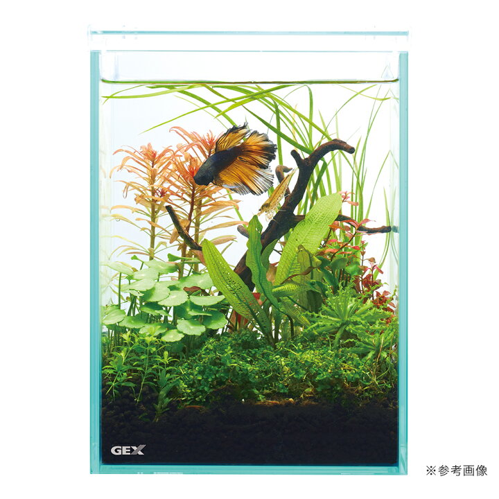 楽天市場】GEX グラステリア フィット 150 plus 