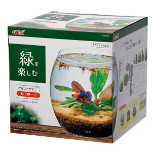 GEX@OXANA@hbv@N@17cm@eE@^@KX@֓