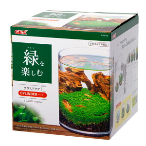 GEX@OXANA@V_[@N@18cm@eE@^@KX@֓