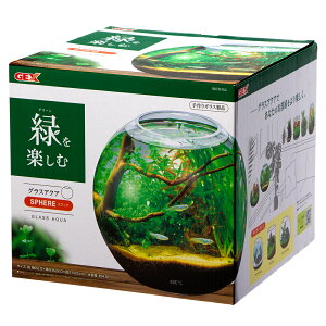 GEX@OXANA@XtBA@N@22cm@eE@^@KX@֓