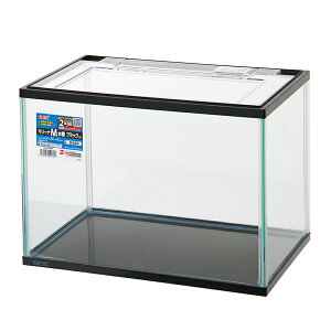 GEX@KX@}[iM@ubN@36cm@MR|360BK|N@ll2_@֓