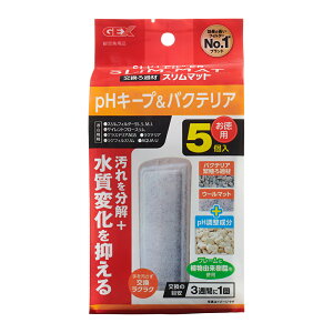 GEX@pHL[voNeAX}bg@5@֓