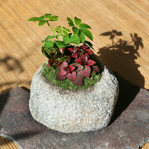 iϗtAjō@̌Lbg17@ۖ~́@RΐΔA@܂ϗtA3