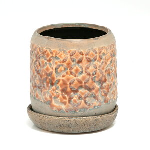 Aؔ@_CI[J[@S@3D5@R[fbNX@T{e@A@֓