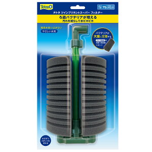 eg@cCugX[p[tB^[@X|WtB^[@GA[V@`75cm@tɂ₳@_f@֓