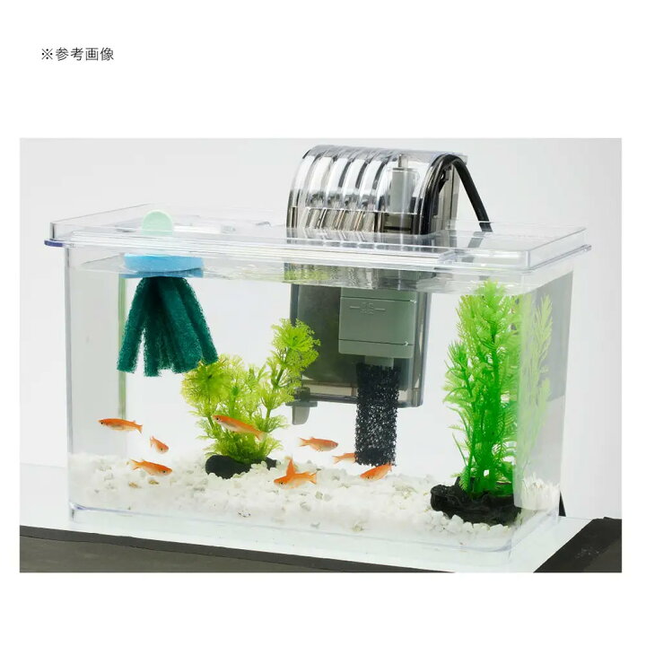 楽天市場】テトラ メダカの繁殖を楽しむセット S お一人様5点限り 