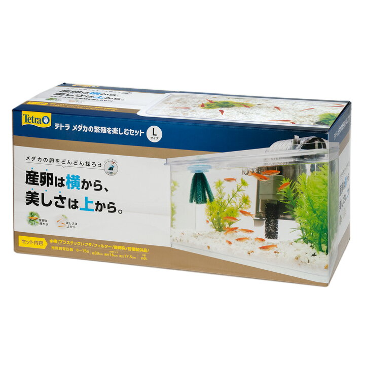 楽天市場】テトラ 水槽セット メダカの繁殖を楽しむセット L お一人様 
